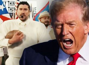 WhatsApp Image 2026-02-09 at 20.56.56