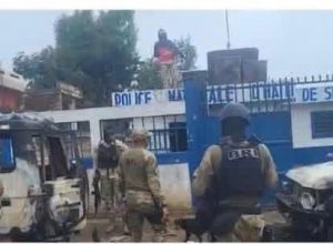 WhatsApp Image 2026-04-18 at 20.52.49122